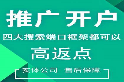 SEM推广竞价案例：提升广告投放效果